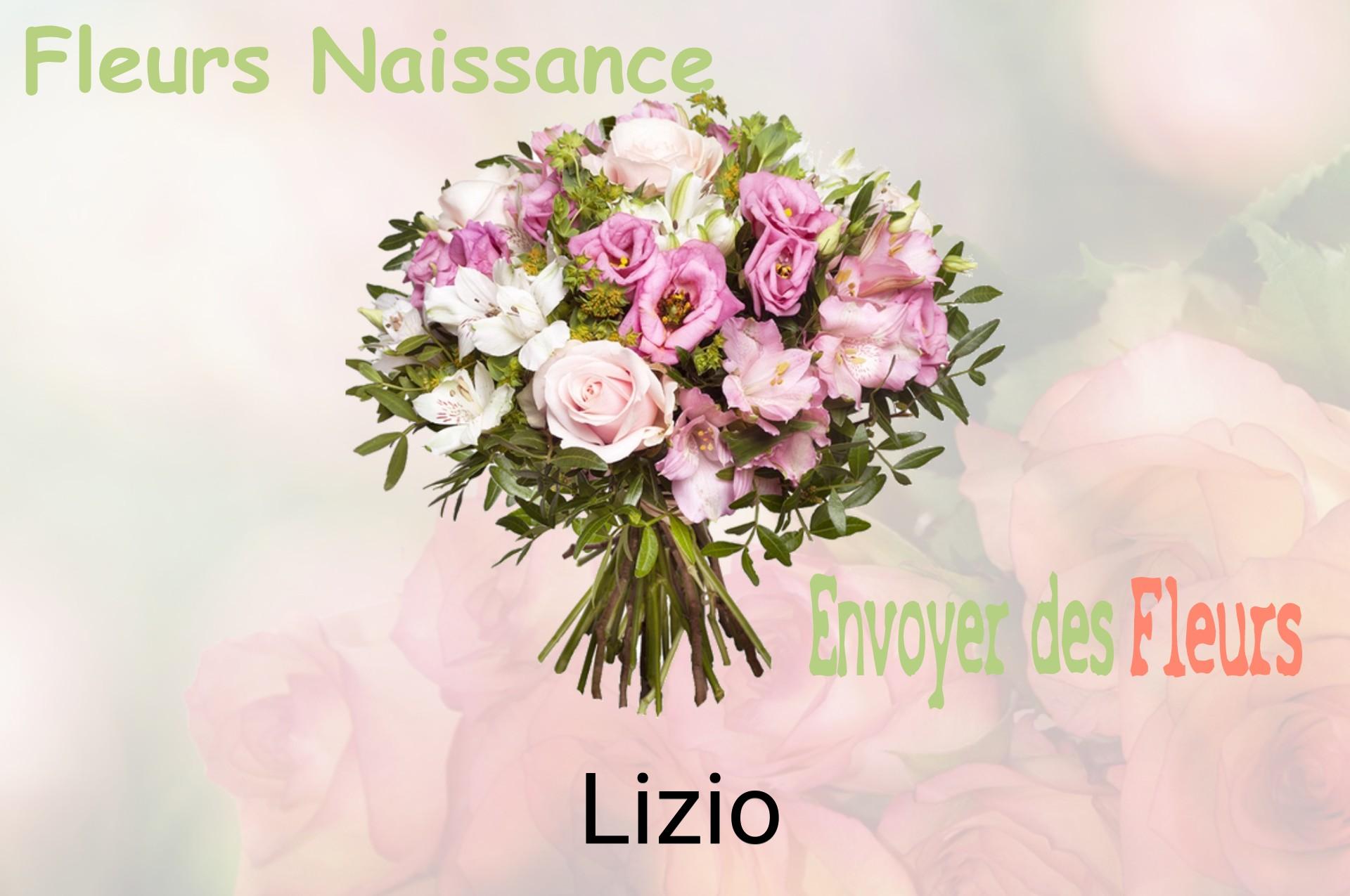 Bouquet de fleurs de naissance livré à Lizio
